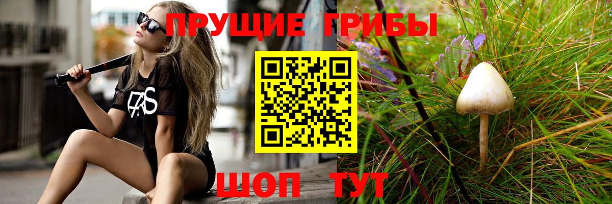Мытищи  Псилоцибиновые грибы MAGIC MUSHROOMS  хочу   Вход с VPN 